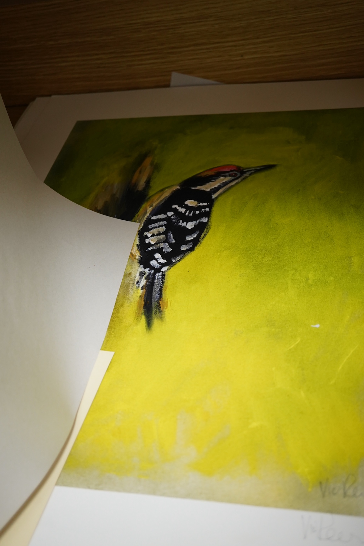Vic Reeves (contemporary), Studies of birds to include Redstart, silver and gilt, Woodpecker and Bunting, set of twenty hand finished print limited edition coloured prints, each signed in pencil with certificate of authe